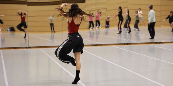 <p>Ecco alcune impressioni di due meravigliose settimane all'insegna della danza 2025. È stato un piacere!</p>